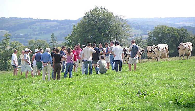 52 FERMES – Autant de bons plans au Pays Basque, en Béarn et en Bigorre